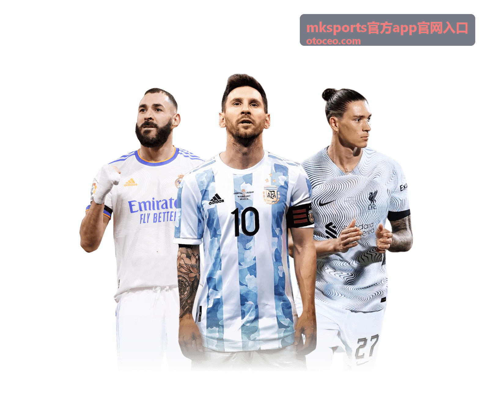 mksports官方app官网入口使用说明示意图